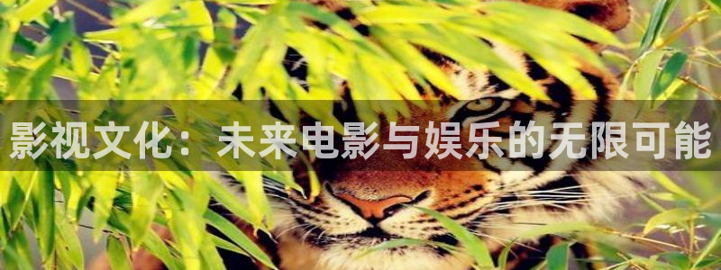 18蓝莓免费看视频：影视文化：未来电影与娱乐的无限可能