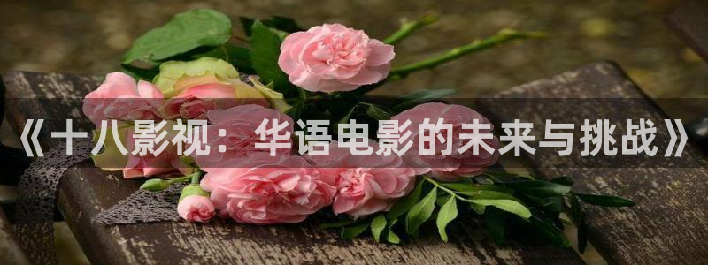 蓝莓视频nba：《十八影视：华语电影的未来与挑战》