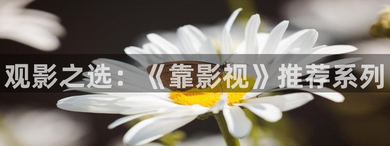 蓝莓视频安卓免费下载安装：观影之选：《靠影视》推荐系列