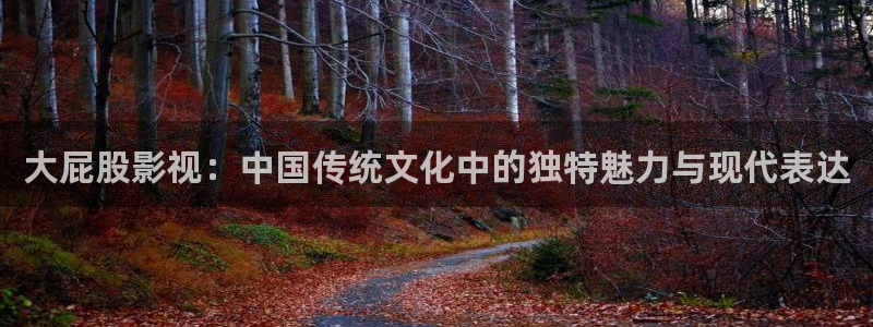 ,蓝莓视频,：大屁股影视：中国传统文化中的独特魅力与现代表达