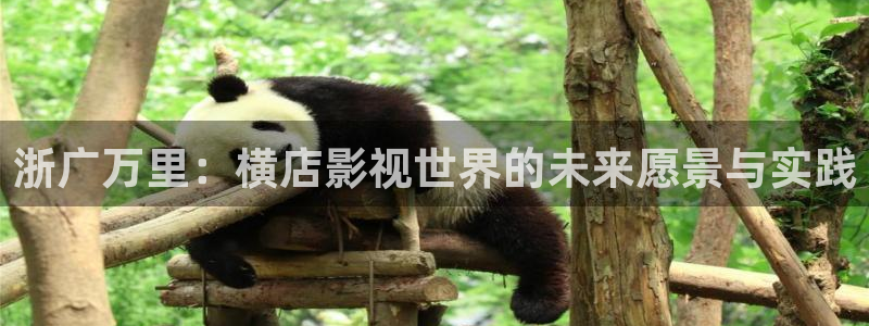 诺特兰德蓝莓叶黄素片：浙广万里：横店影视世界的未来愿景与实践