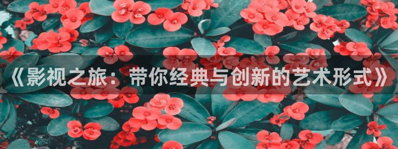 九一蓝莓视频：《影视之旅：带你经典与创新的艺术形式》
